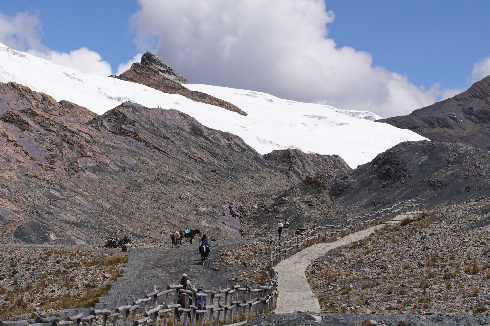 El Santuario del Cóndor Andino: Biología, Corredores Térmicos y Conservación en la Cordillera Blanca