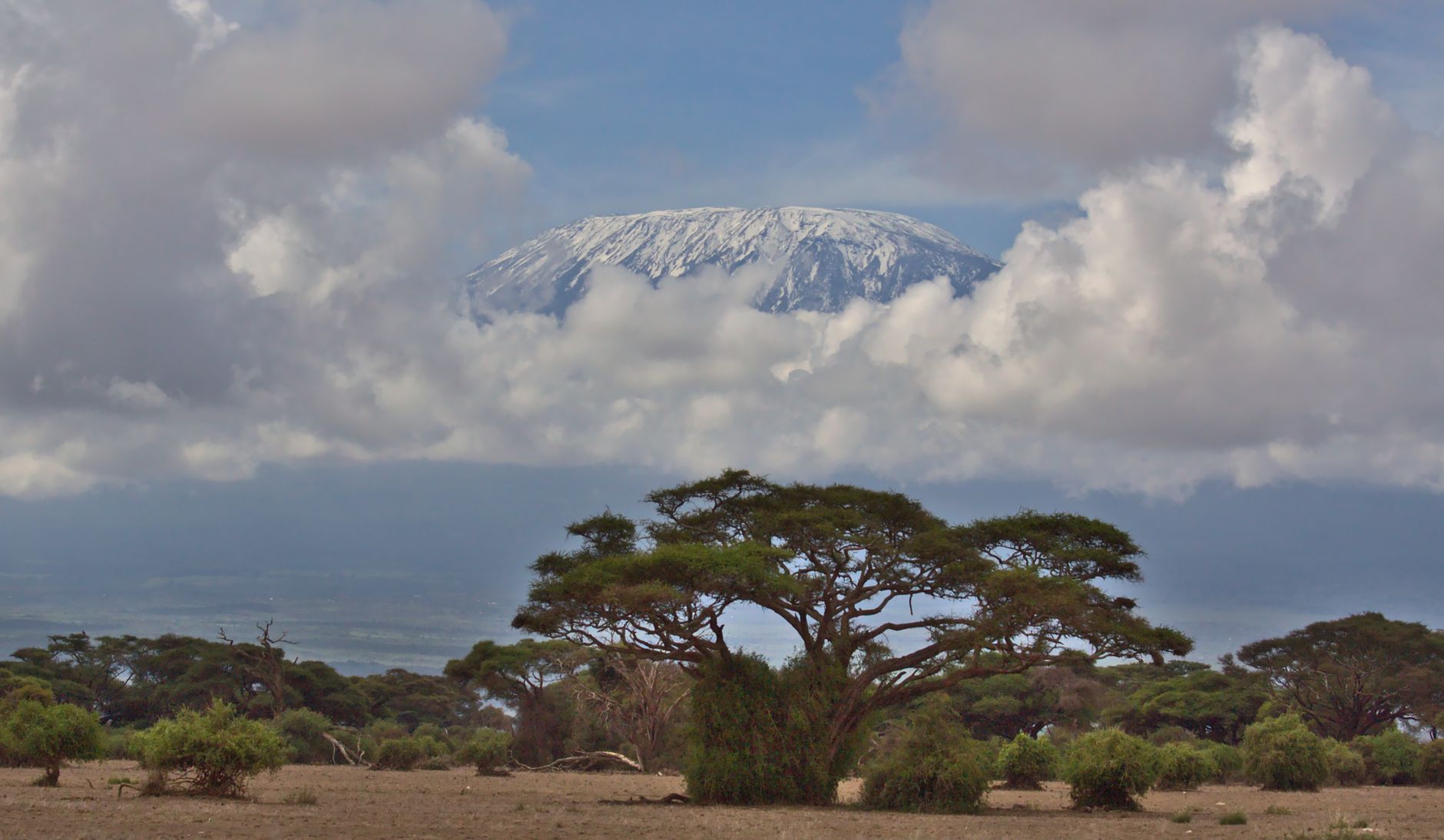El hierro del Kilimanjaro: la resurrección ferroviaria que desafía las alturas de Tanzania