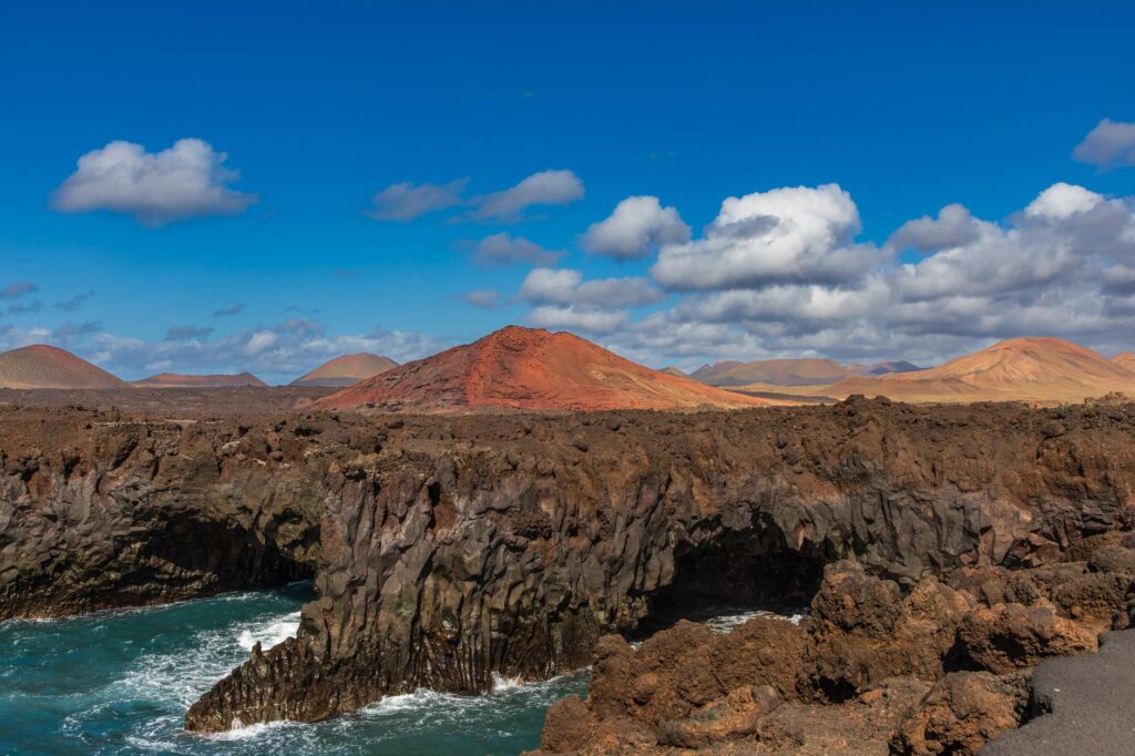 El latido de los bosques submarinos: cómo la restauración de praderas de posidonia y la pesca artesanal transforman la conservación en el Parque Natural del Cabo de Gata-Níjar
