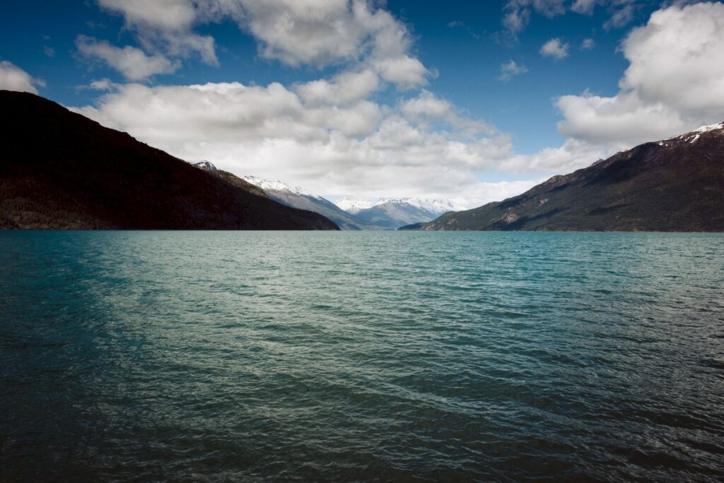 El Santuario Submarino del Canal de los Zorros: Dinámicas de Marea, Endemismo Abisal y Conservación en la Patagonia
