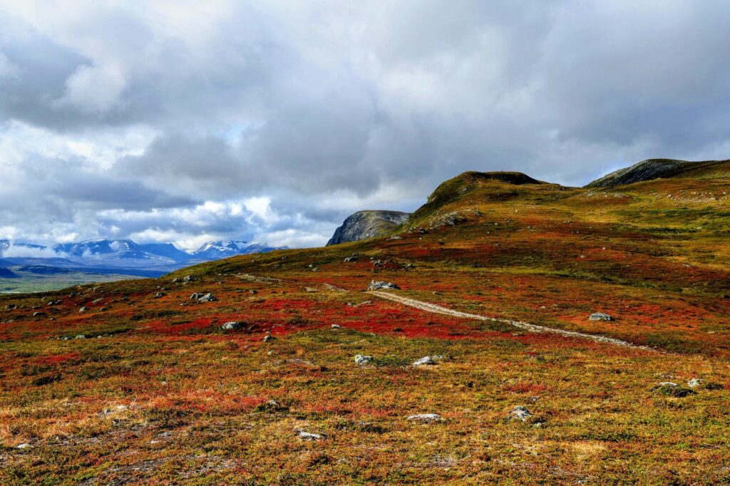 El latido ártico del Kungsleden: caminata y renos bajo el sol de medianoche