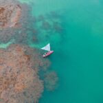 El laberinto de las mareas de Zanzíbar: Aljibes comunitarios, cayucos de vela triangular y la conectividad invisible de las marismas de la costa suajili