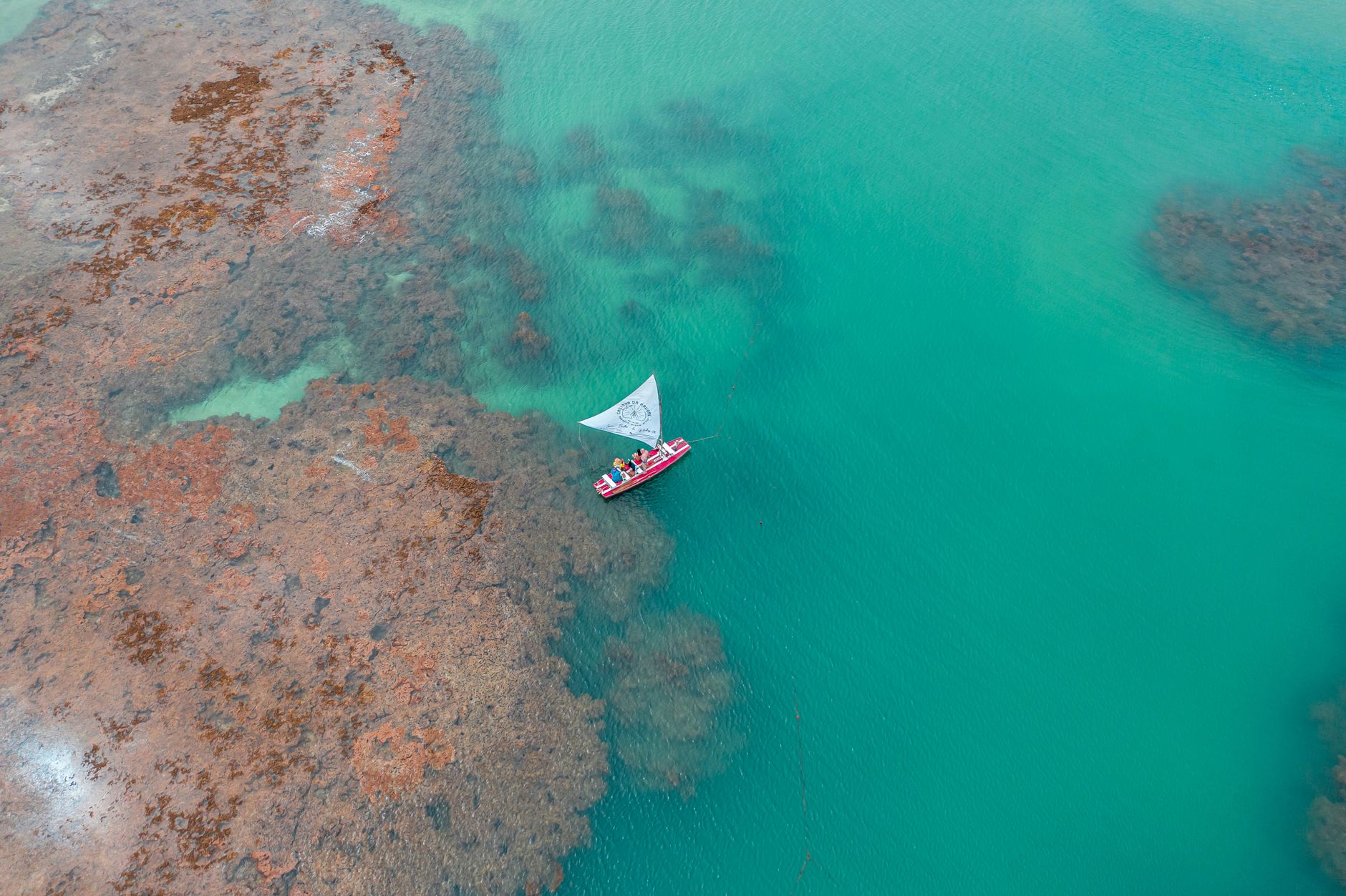 El laberinto de las mareas de Zanzíbar: Aljibes comunitarios, cayucos de vela triangular y la conectividad invisible de las marismas de la costa suajili