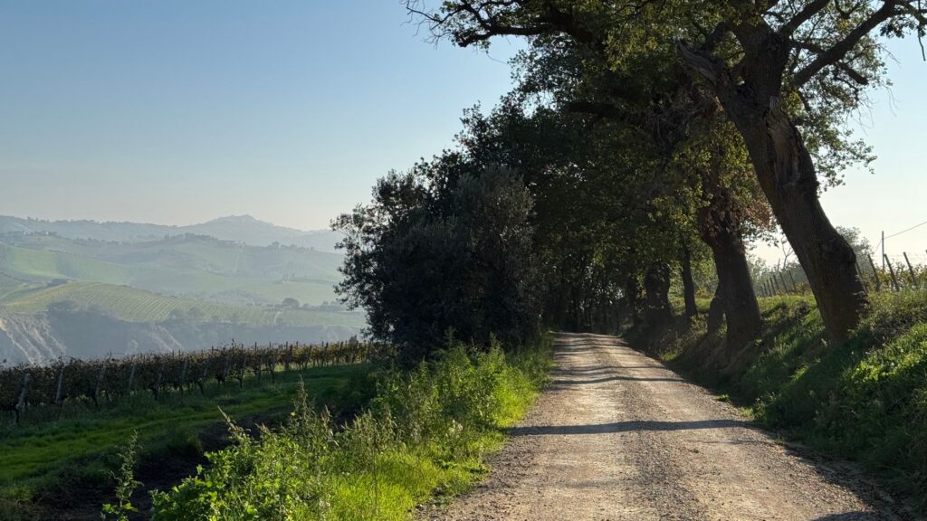 El latido mineral del Penedès: cómo la movilidad eléctrica compartida y los caminos de herradura transforman el transporte en el corazón vitivinícola de Cataluña