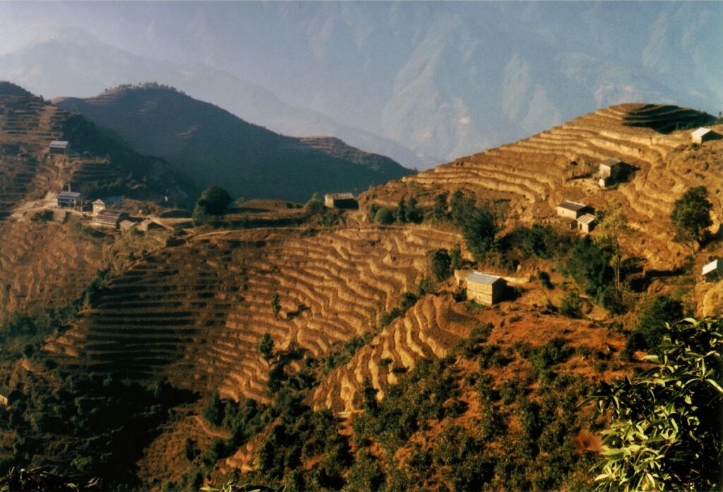 El Techo de África: Geología, Endemismo y el Desafío de la Conservación en las Montañas Simien