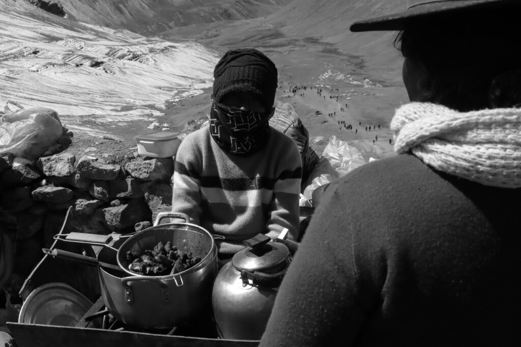 El latido de las estepas altoandinas: cómo la restauración de bofedales y el pastoreo rotativo transforman la conservación en la Reserva Nacional Salinas y Aguada Blanca