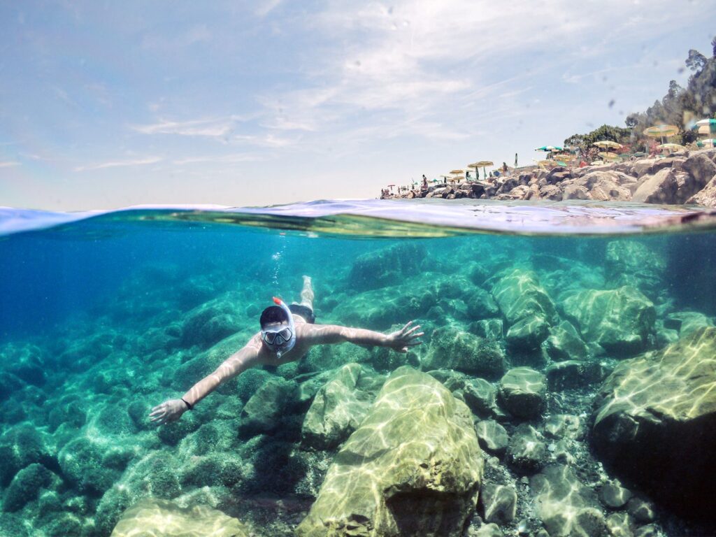 El santuario sumergido de las gorgonias gigantes en el mar de Liguria: oceanografía, cañones submarinos y conservación en el abismo de Portofino