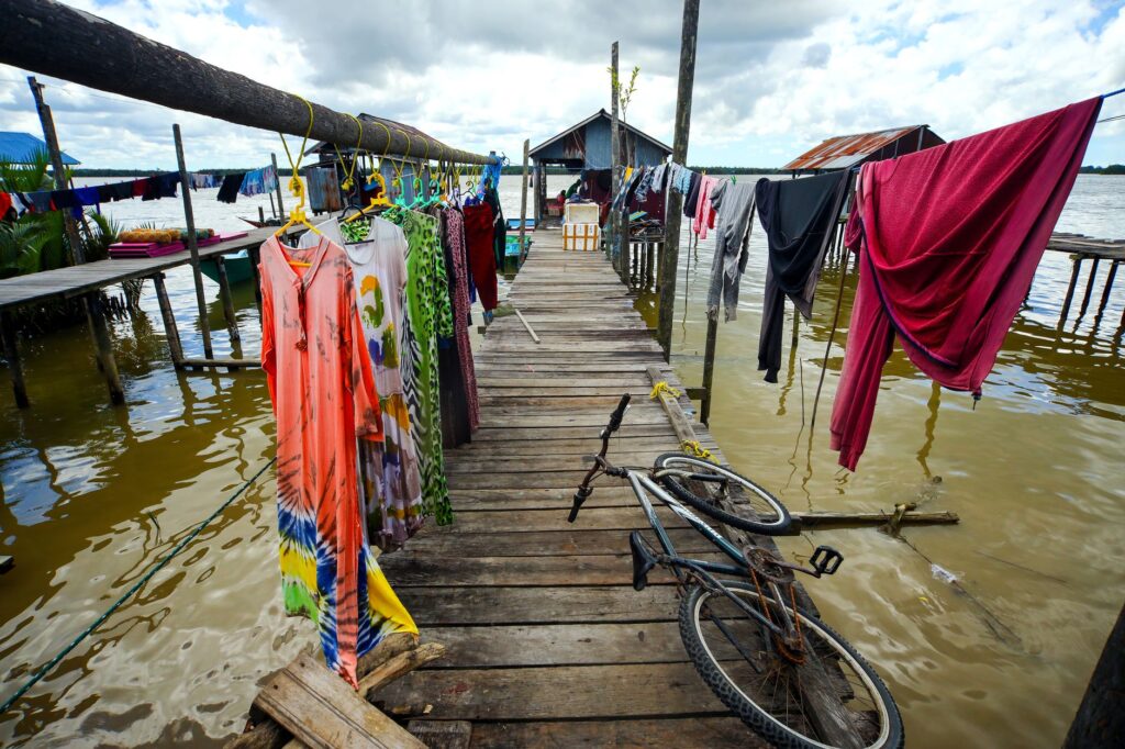 El latido meridional del delta del Danubio: Canales de cañaveral, barcazas fluviales y la conectividad anfibia de Sulina
