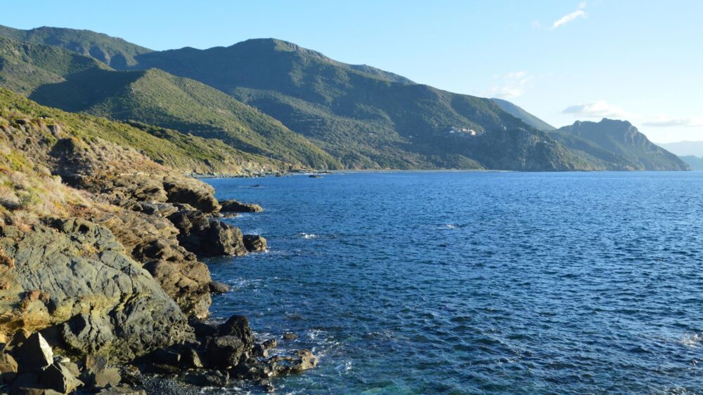 El Refugio de los Cetáceos en el Santuario Pelagos: Oceanografía, Corrientes de Liguria y Conservación en el Mediterráneo Noroccidental