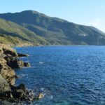 El Refugio de los Cetáceos en el Santuario Pelagos: Oceanografía, Corrientes de Liguria y Conservación en el Mediterráneo Noroccidental