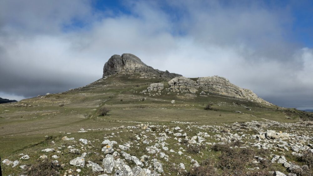 El secreto del trigo antiguo y la piedra: la liturgia del pan de hogaza y los hornos de leña en los Altos de Cerdanya