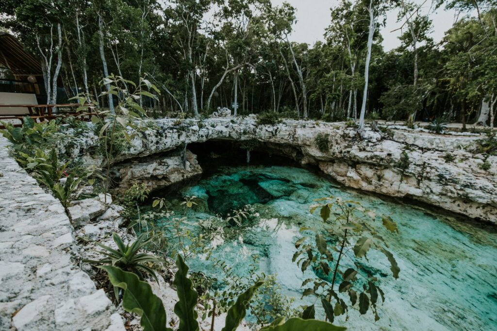 El latido de los manglares costeros: cómo la restauración de canales y la pesca artesanal transforman la conservación en el Parque Nacional Ciénaga de Zapata