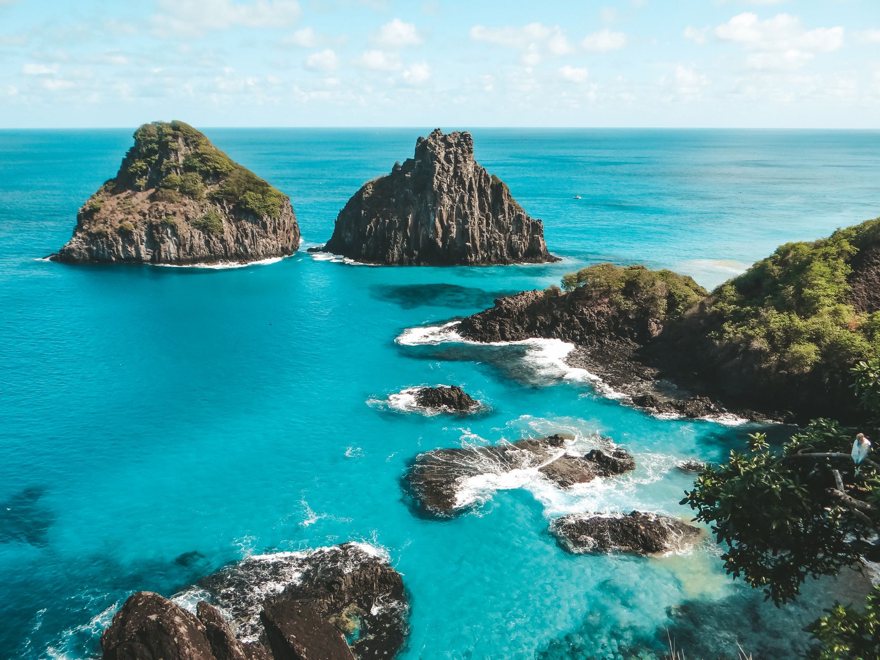El refugio de los delfines de hocico botella en el archipiélago de Fernando de Noronha: oceanografía, corrientes de afloramiento y conservación en el Atlántico tropical
