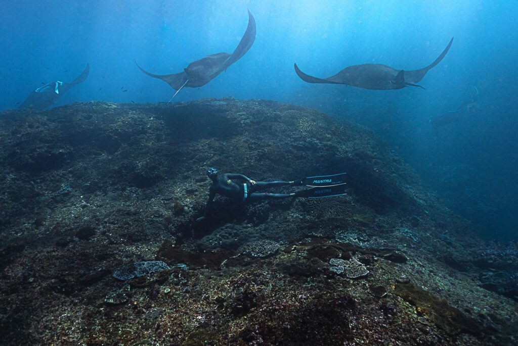 El Santuario Submarino del Mar de Banda: Corales Profundos y Biodiversidad en el Triángulo de Coral de Indonesia
