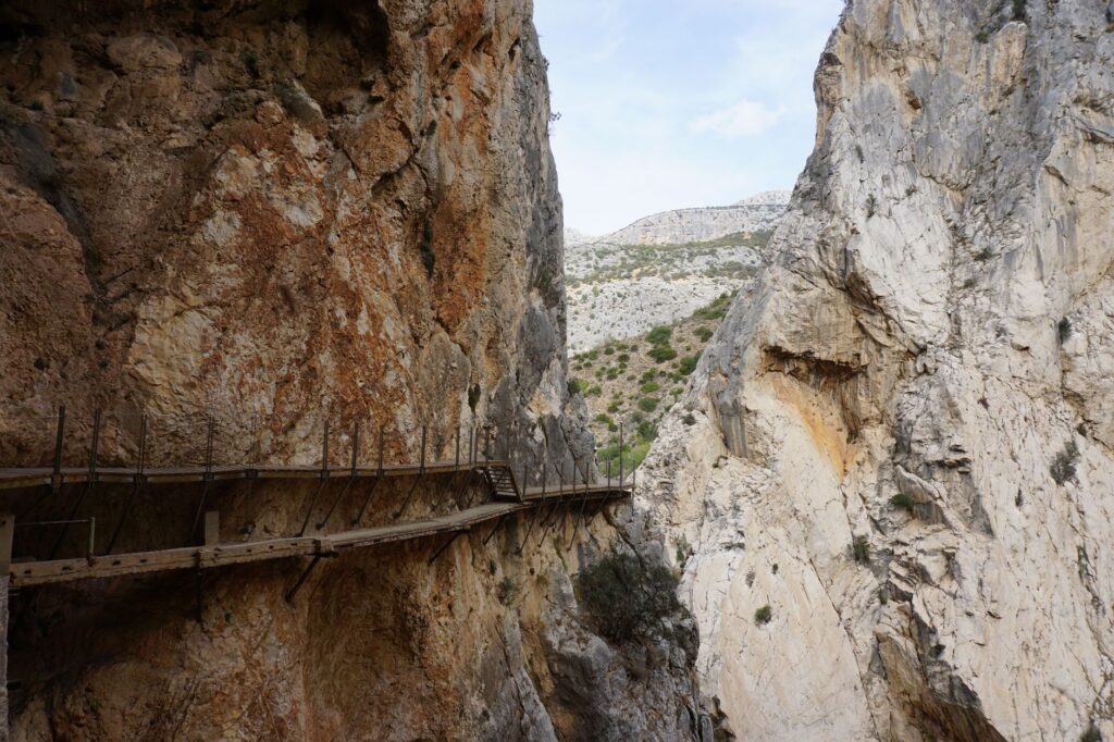 El refugio del águila real en las alturas de los Picos de Europa: biología, termorregulación y conservación en los paredones de León y Asturias