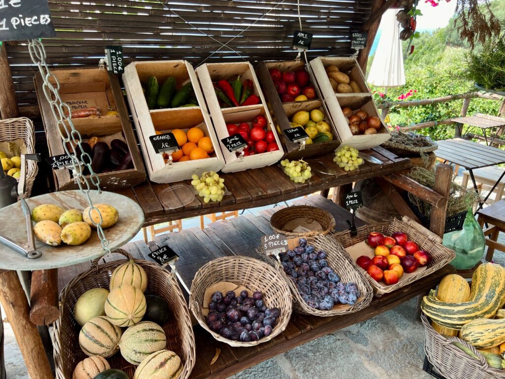 El costo invisible de la política: Cómo la gestión federal transforma la gastronomía y la cultura de los parques nacionales