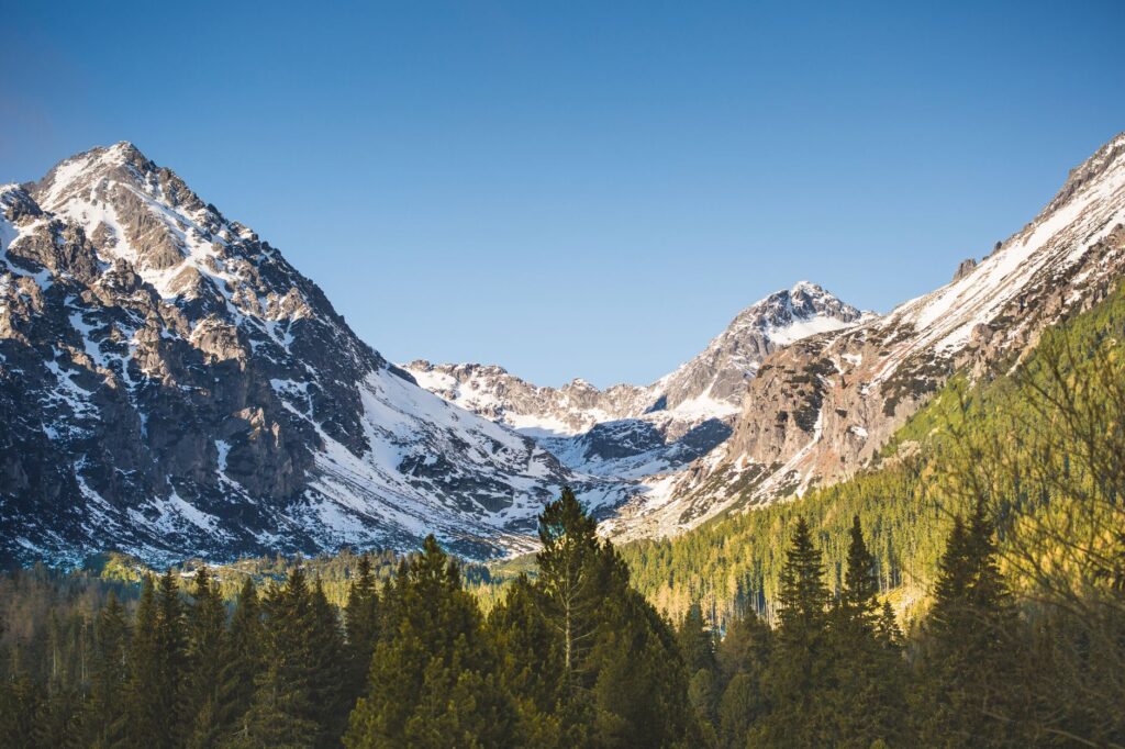 El refugio de la liebre de ventisquero en los Altos Tatras: biología, adaptación nival y conservación en las cumbres de Eslovaquia