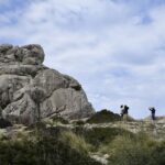 El Reino del Halcón Eleonora: Vientos del Mediterráneo, Biología Insular y Conservación en los Acantilados de Cerdeña