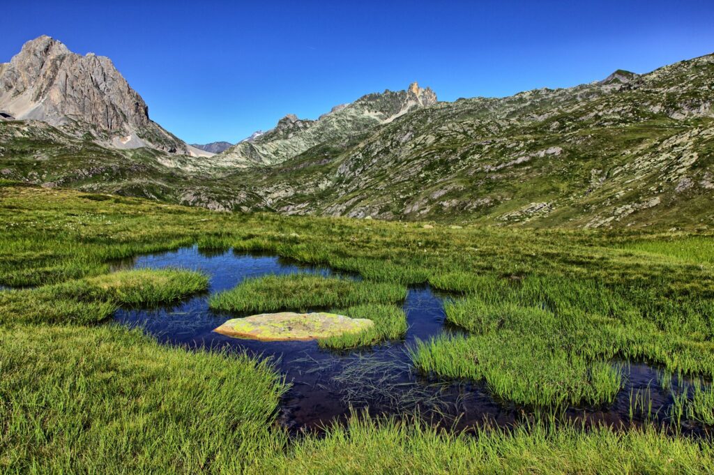 El refugio de la gamuza alpina en el Parque Nacional del Gran Paradiso: ecología nival y conservación en los macizos italianos
