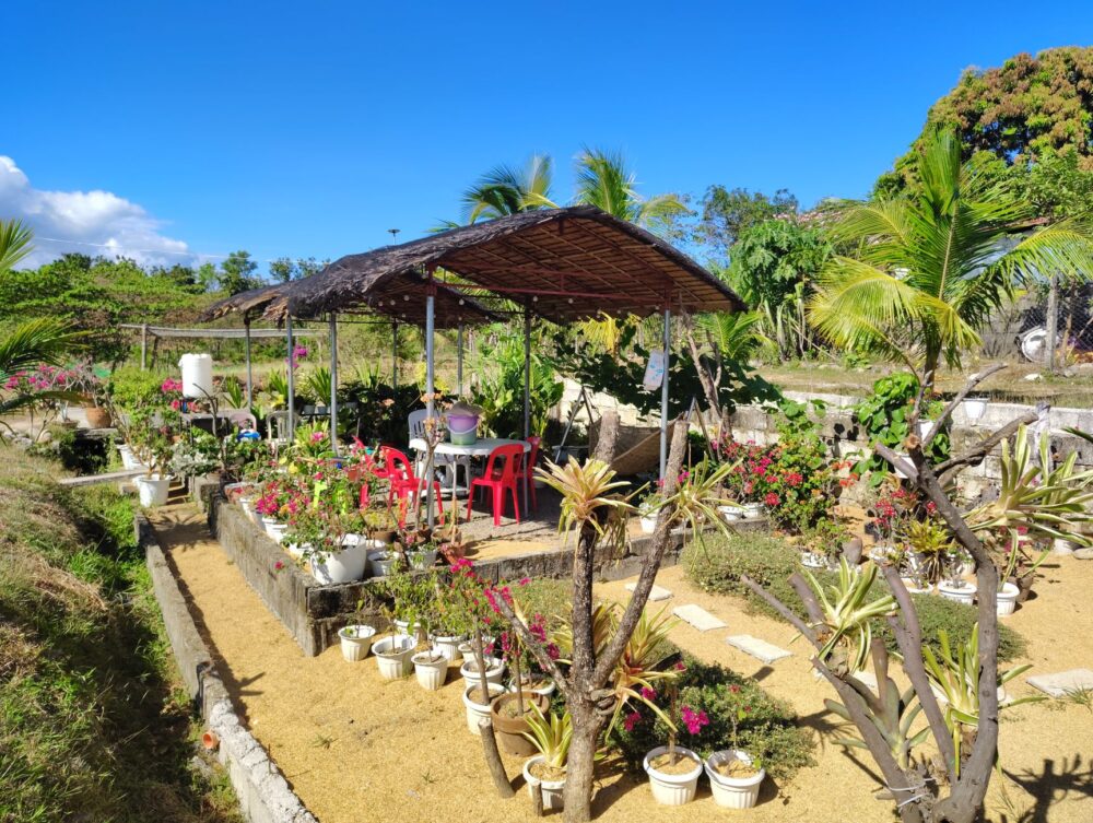 El latido de Capiz: Arquitectura de bambú y resistencia cultural en la feria de turismo de Filipinas