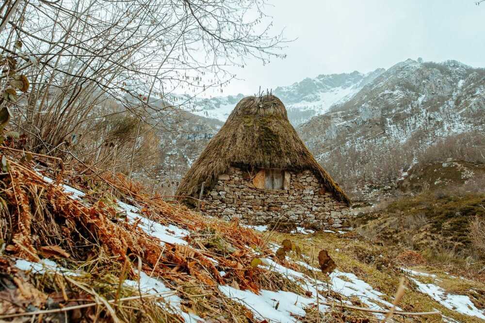 El refugio del rebeco en los paredones de la cordillera Cantábrica: ecología rupícola y conservación en los altos macizos de Asturias