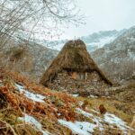 El refugio del rebeco en los paredones de la cordillera Cantábrica: ecología rupícola y conservación en los altos macizos de Asturias