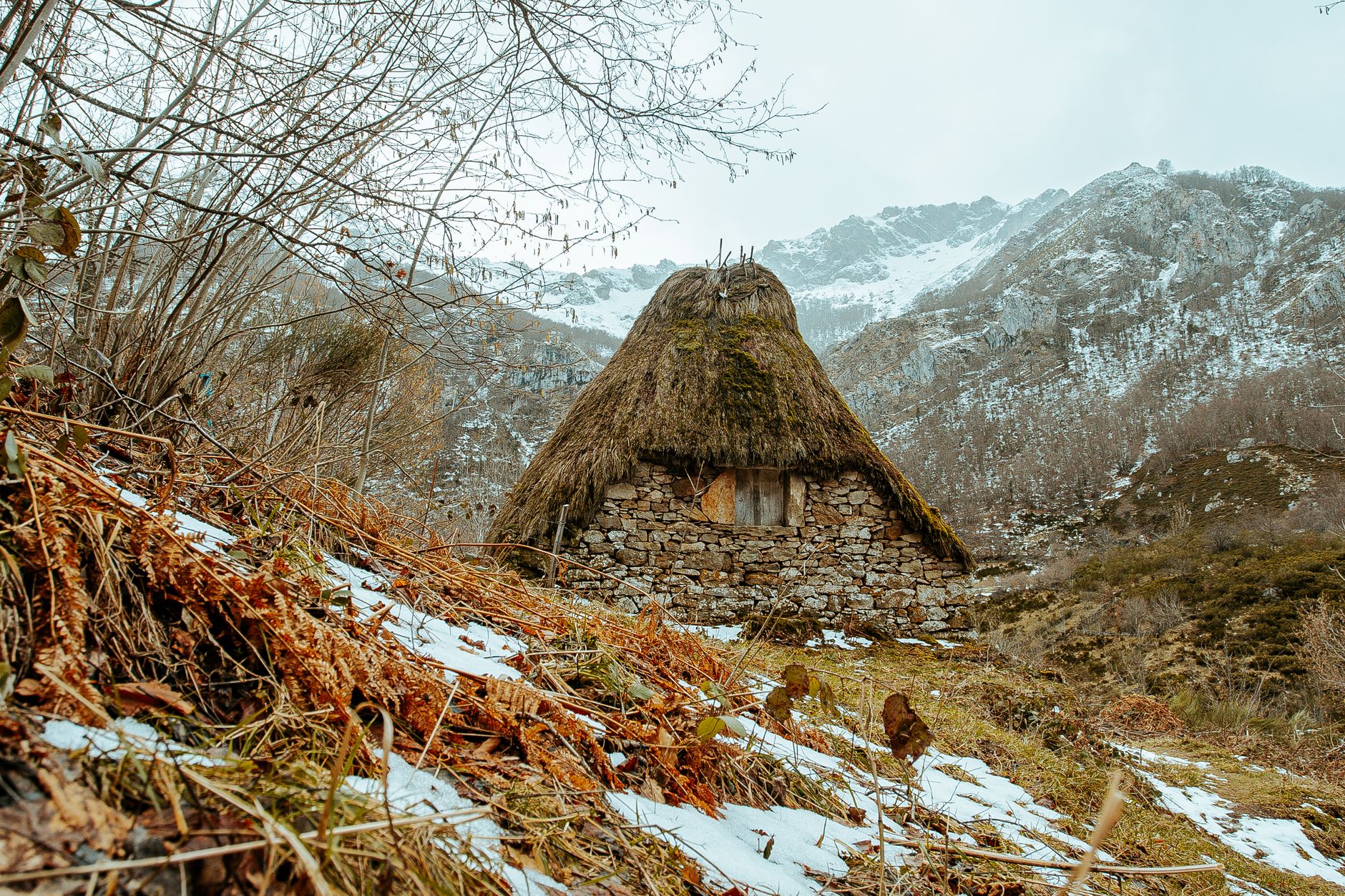El refugio del rebeco en los paredones de la cordillera Cantábrica: ecología rupícola y conservación en los altos macizos de Asturias