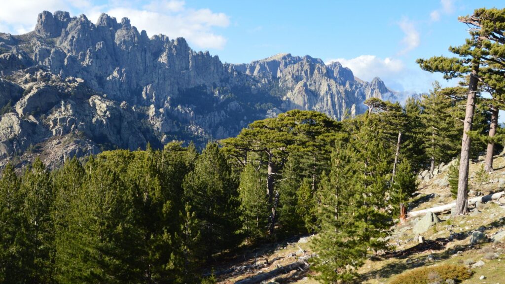 La Travesía del GR20 en Córcega: Guía de Expedición y Senderismo Técnico por la Cresta Granítica del Mediterráneo
