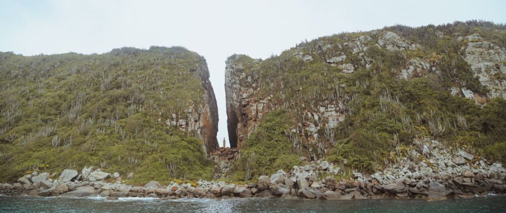 El laberinto intermodal de Tasmania: Navegación costera, pistas forestales y la frágil conectividad de la isla del fin del mundo