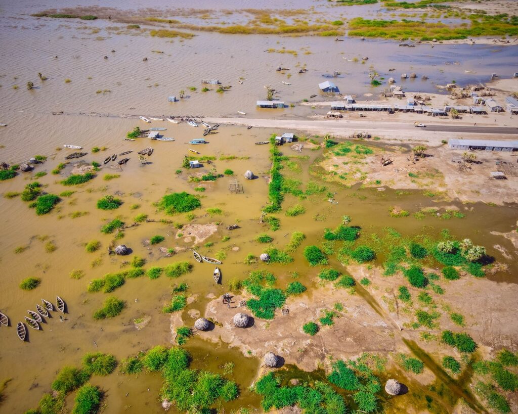 El latido de las sabanas inundables: cómo la restauración del agua y la custodia ganadera transforman la conservación en el Pantanal