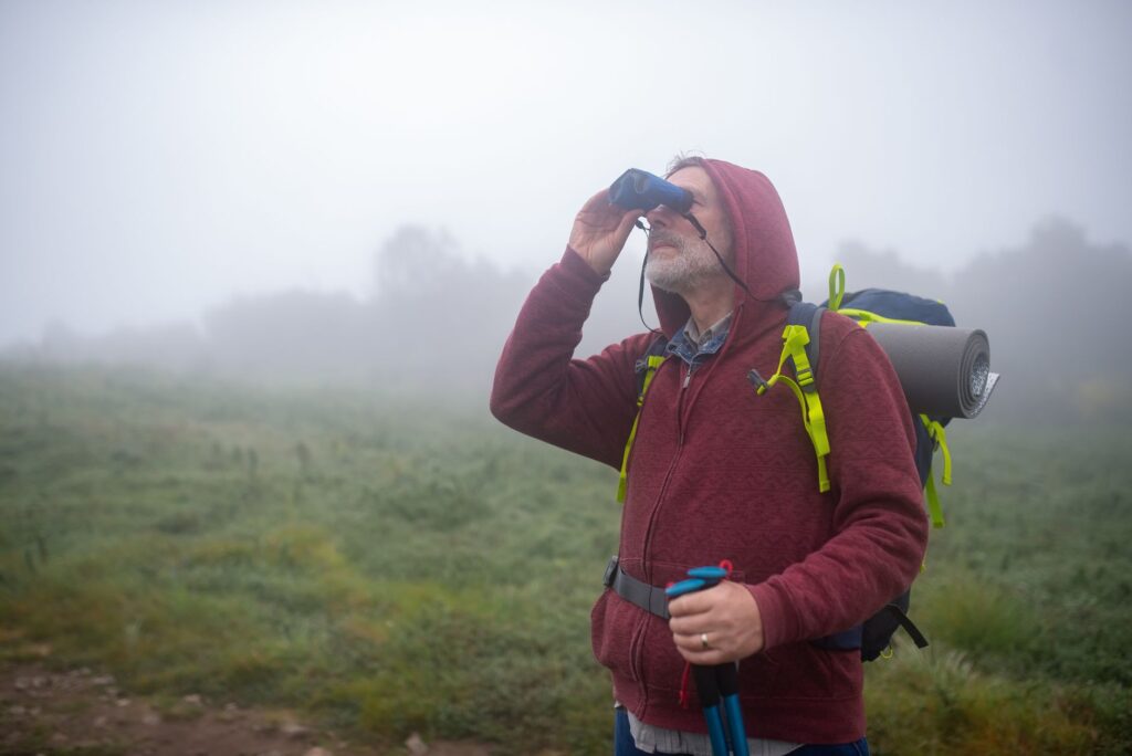 El latido de los bosques de niebla: cómo la restauración del dosel arbóreo y la apicultura comunitaria transforman la conservación en la Reserva de la Biosfera de la Mariposa Monarca
