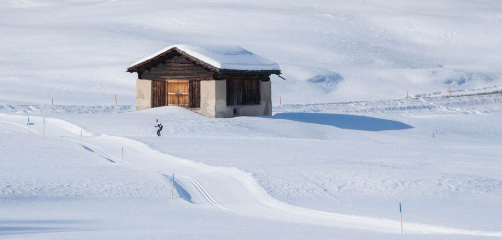 Diciembre en Estados Unidos: Geografía de la Sostenibilidad Invernal y Destinos Lejos del gentío