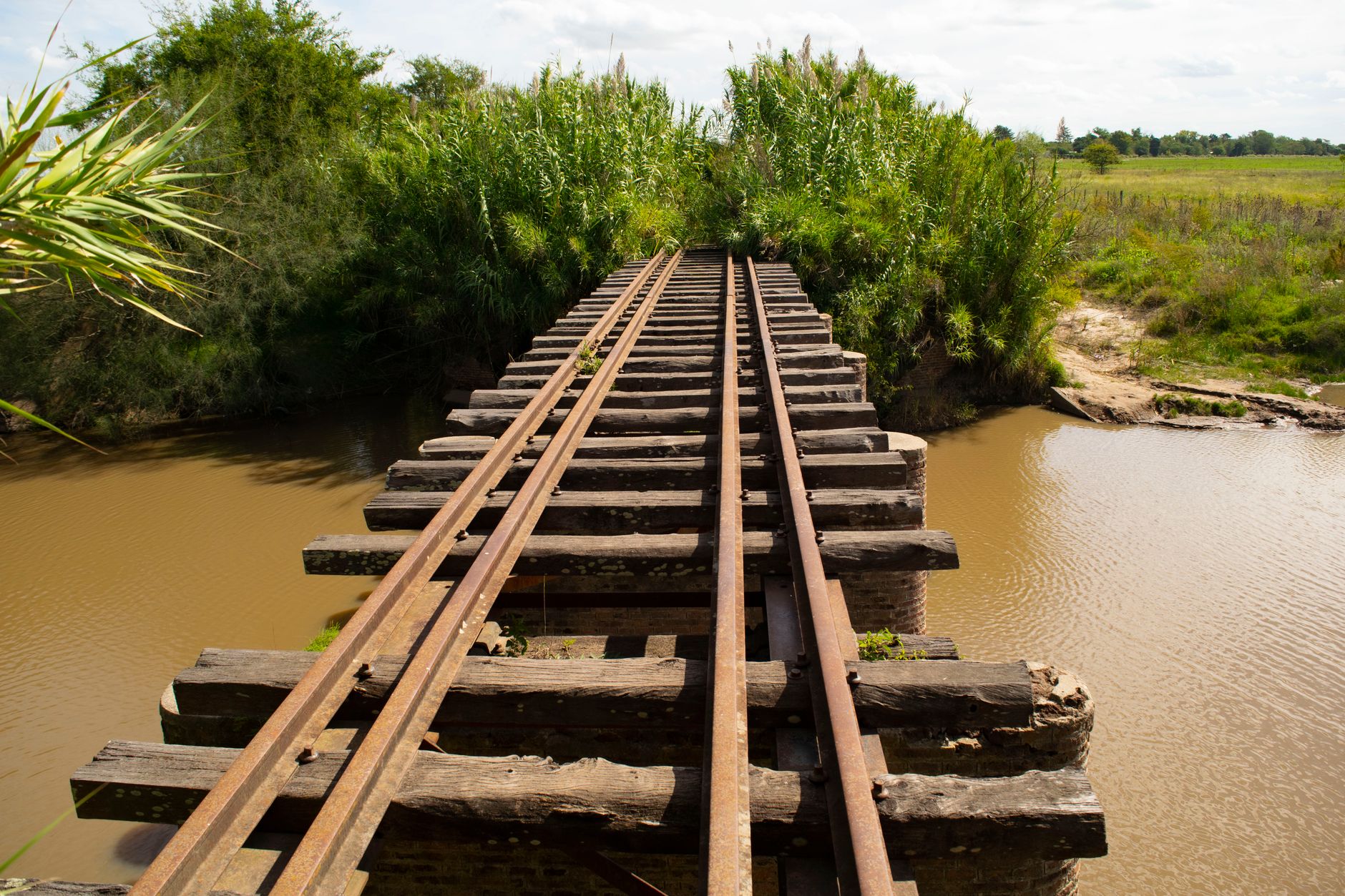El Ferrocarril de la Cuenca Lechera: Ingeniería de llanuras, logística agroindustrial y la conectividad ferroviaria histórica hacia el corazón de Uruguay