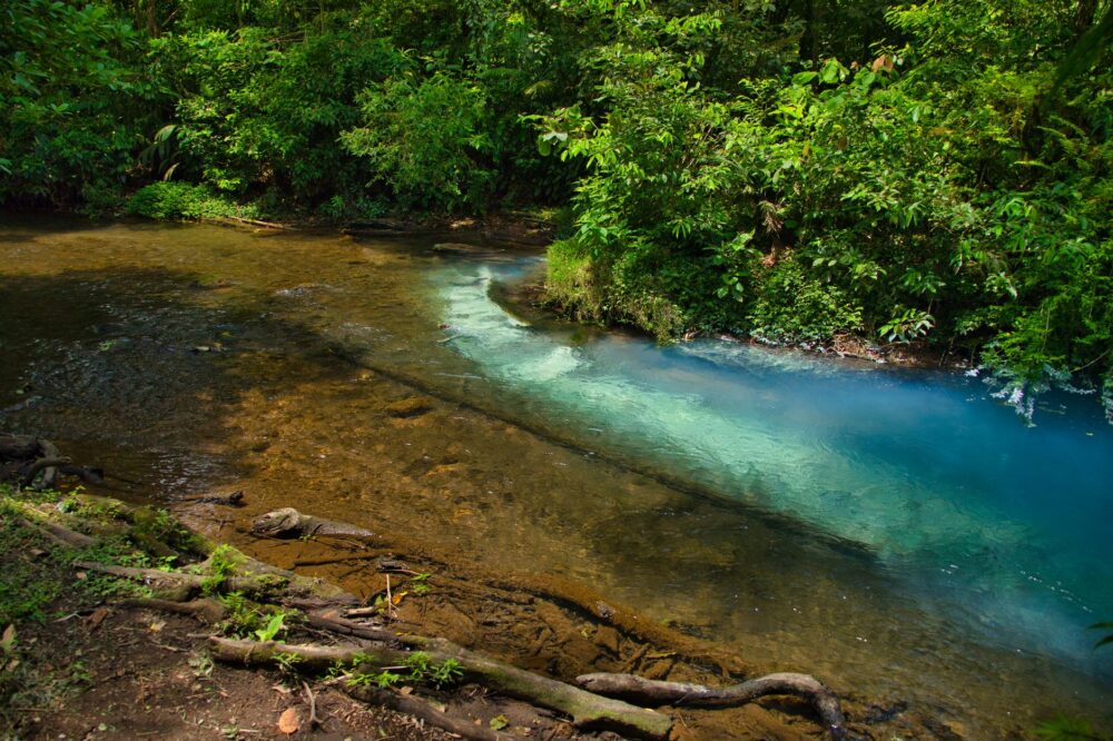 La Travesía del Río Pacuare en Rafting: Guía de Expedición y Navegación Fluvial por las Gargantas Prístinas de Costa Rica