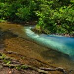 La Travesía del Río Pacuare en Rafting: Guía de Expedición y Navegación Fluvial por las Gargantas Prístinas de Costa Rica