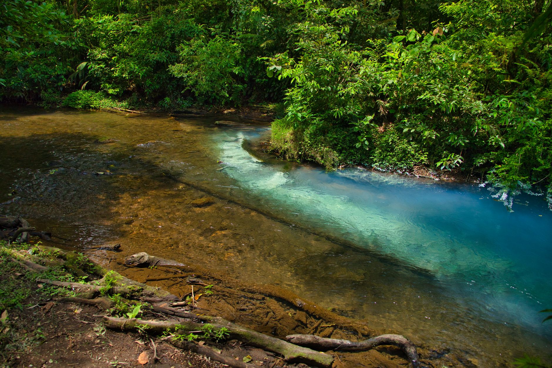 La Travesía del Río Pacuare en Rafting: Guía de Expedición y Navegación Fluvial por las Gargantas Prístinas de Costa Rica