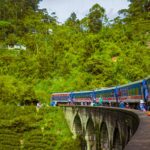 El Expreso de las Tierras Altas de Sri Lanka: Ingeniería de plantaciones, logística británica y la conectividad ferroviaria hacia el corazón de Ceilán