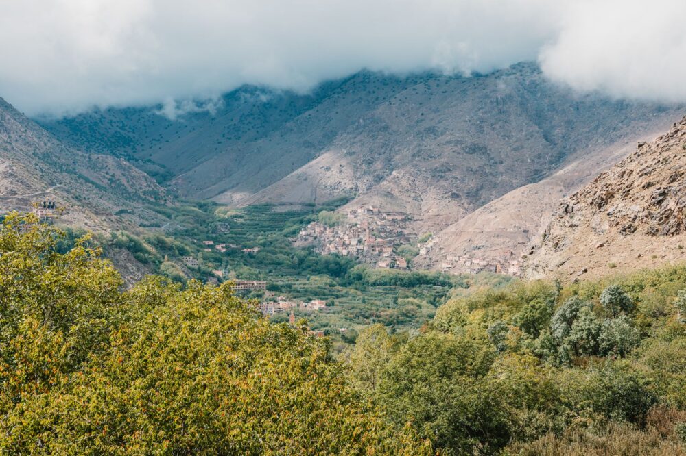 El latido mineral del Atlas de Marrakech: Logística de mulas, pistas de altura y la conectividad bereber en el Toubkal