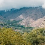 El latido mineral del Atlas de Marrakech: Logística de mulas, pistas de altura y la conectividad bereber en el Toubkal