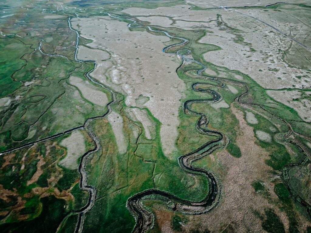 El latido de las sabanas inundables: cómo la restauración del agua y la custodia ganadera transforman la conservación en el Pantanal
