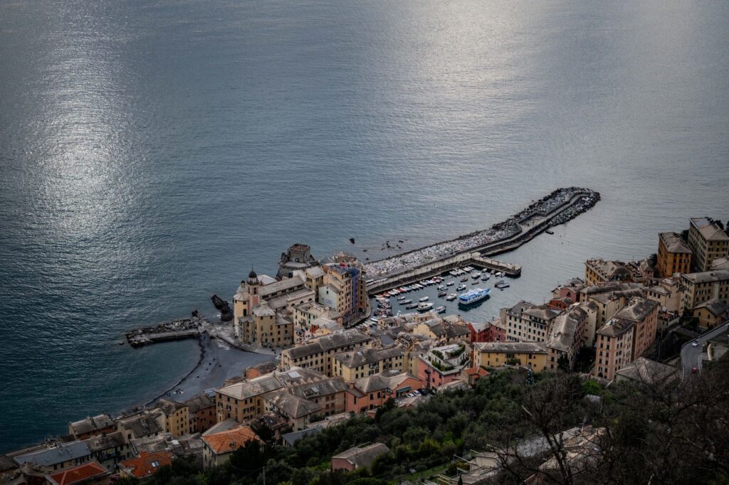El santuario sumergido de las gorgonias gigantes en el mar de Liguria: oceanografía, cañones submarinos y conservación en el abismo de Portofino
