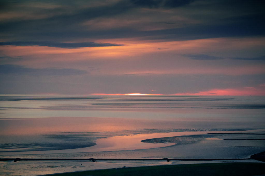 El laberinto intermodal del mar de Wadden: transbordadores de mareas, planchones de fango y la frágil conectividad de un santuario somero