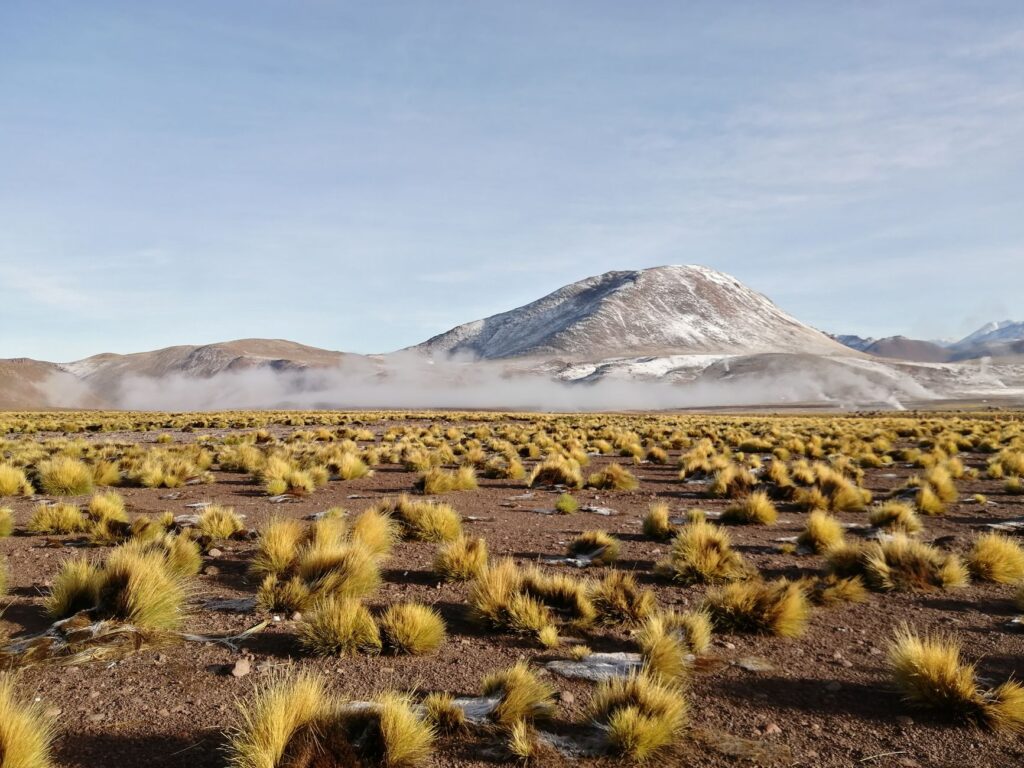 El Ferrocarril del Altiplano y la Ruta del Estaño: Ingeniería andina, logística minera y conectividad ferroviaria histórica entre Oruro y Antofagasta