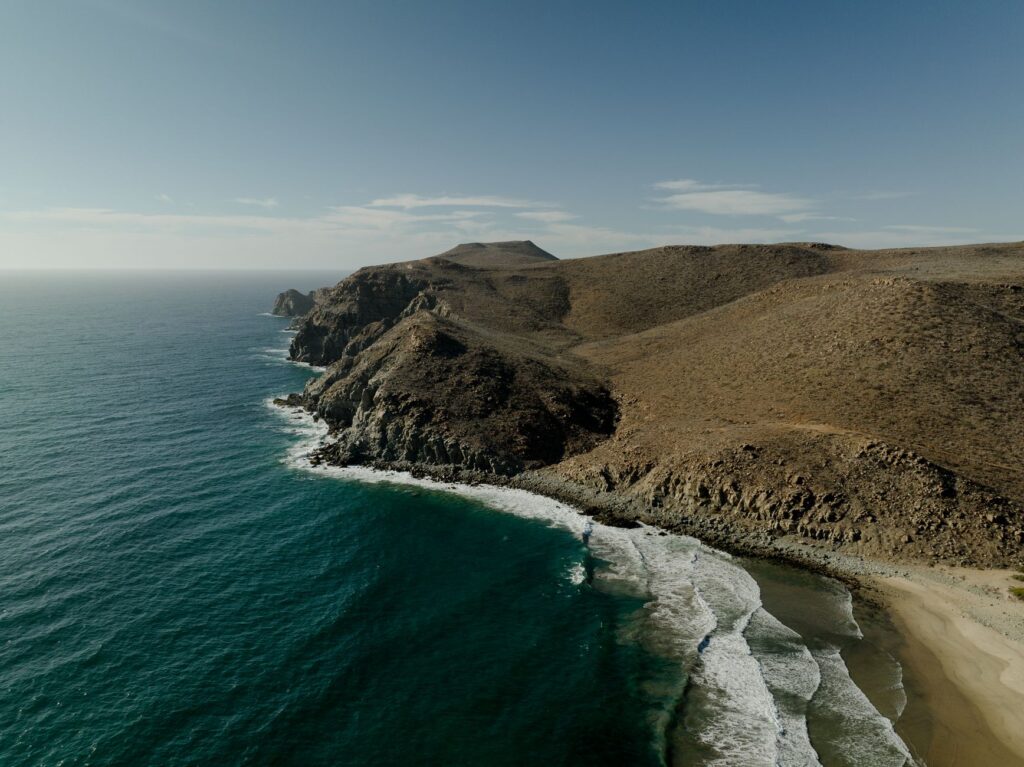 El Refugio del Tiburón Ballena en la Bahía de La Paz: Oceanografía, Migraciones y Conservación en el Mar de Cortés