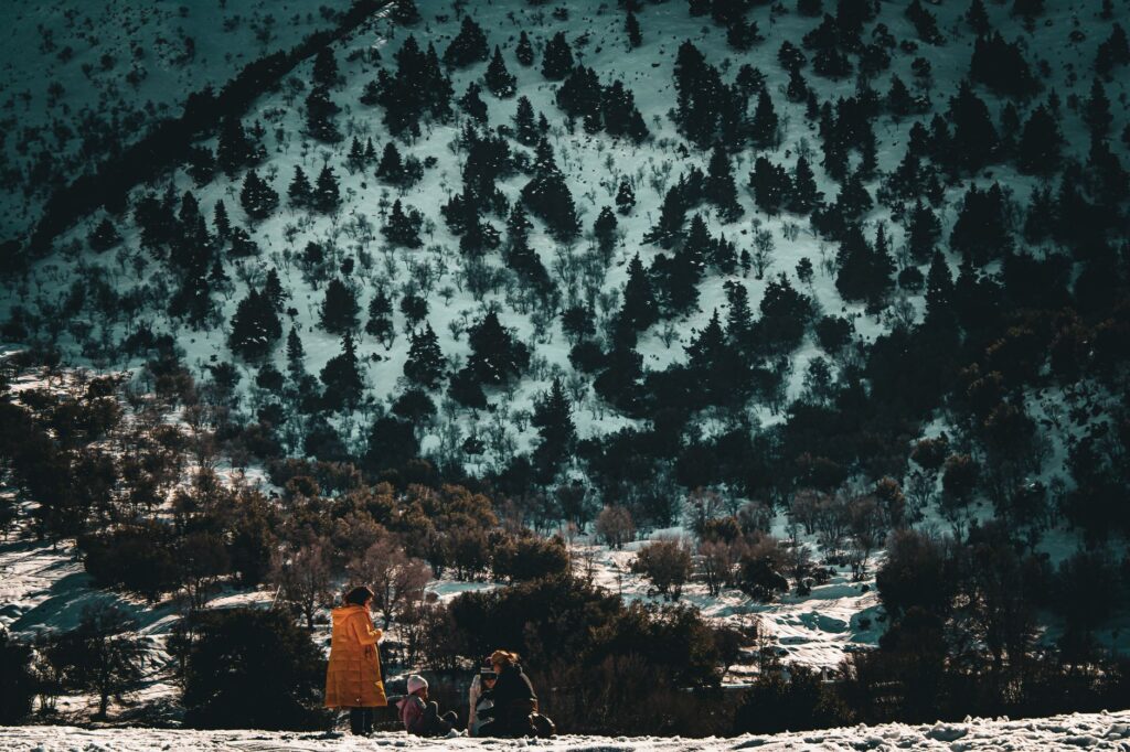 El Refugio del Leopardo de las Nieves en Ladakh: Biología, Climatología de Alta Montaña y Conservación en el Himalaya Indio