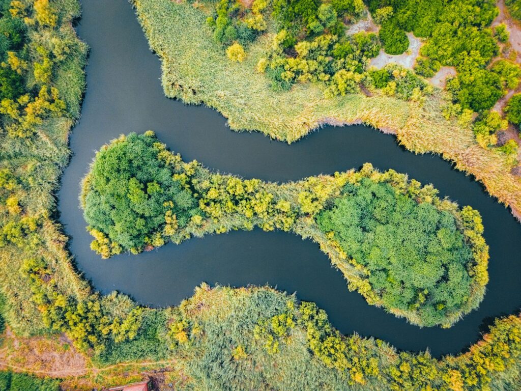 El laberinto de las turberas altas: cómo la restauración ecológica y el ecoturismo fluvial transforman el transporte en los páramos de Irlanda