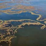 El laberinto intermodal del delta del Okavango: Mokoros tradicionales, avionetas de bush y la frágil conectividad de las islas anegadas