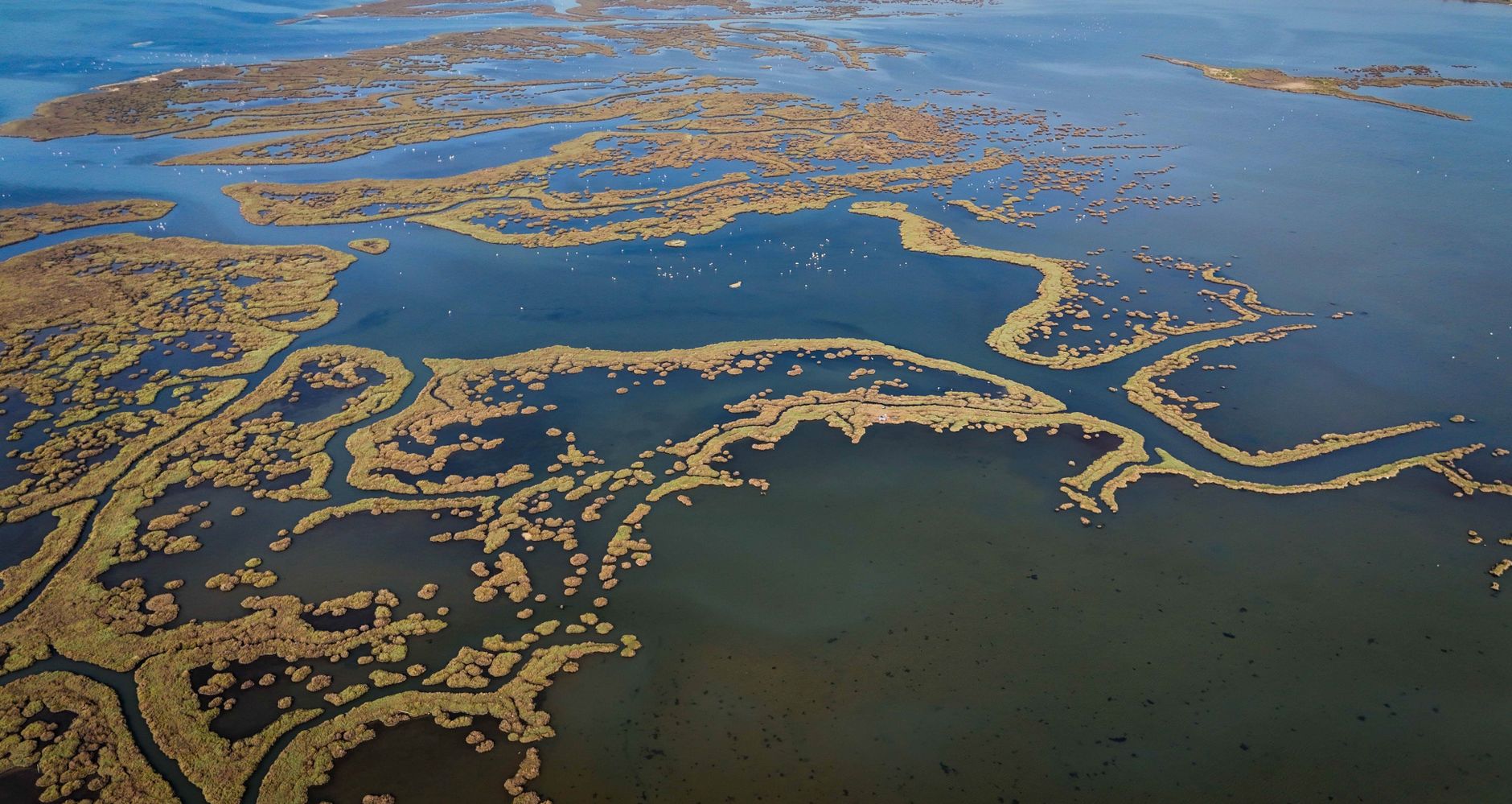 El laberinto intermodal del delta del Okavango: Mokoros tradicionales, avionetas de bush y la frágil conectividad de las islas anegadas