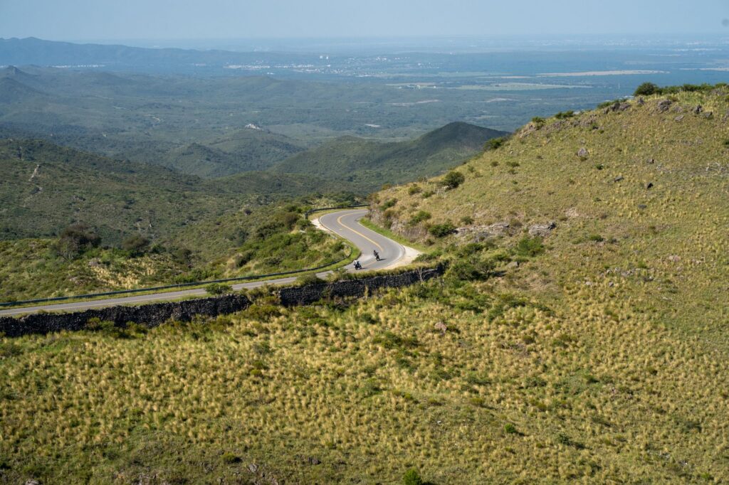 El Refugio del Lobo Ibérico en la Sierra de la Culebra: Biología, Fragmentación Forestal y Conservación en los Montes Zamoranos