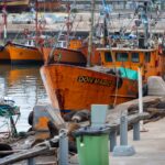 El latido del bosque sumergido: cómo la red marina indígena y la navegación silenciosa transforman la conservación en el Gran Mar Oso
